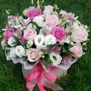 Blumenbox 'Schöne Aussicht'