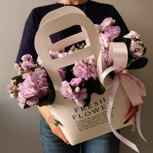 Flower box 'Matthiola in a box'