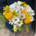 Bouquet 'Ilzeni'