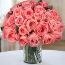 50 premium pink roses