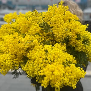 Bouquet 'Mimosa'