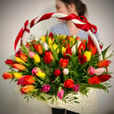 75 green tulips in a basket