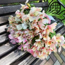 Bouquet '19 alstroemerias'