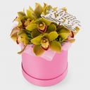 Blumenbox 'Tag des Sonnenlichts'