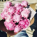 Blumenstrauß '15 rosa Pfingstrosen'