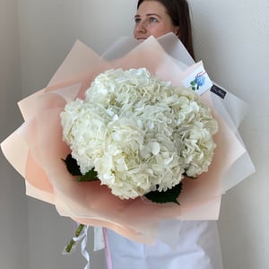 Bouquet of five hydrangeas