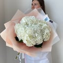 Ramo de cinco hortensias