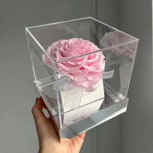 Rosa Infinity Herz-Rose im Acrylwürfel