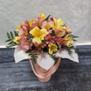Caja de flores 'Alstroemeria cone'