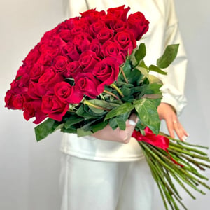Blumenstrauß aus 51 Freedom-Rosen