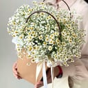 Blumenbox 'Gänseblümchen in einer Tasche'