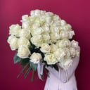 For the most beloved 51