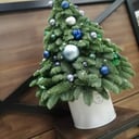 Arrangement 'Interior tabletop Christmas tree'
