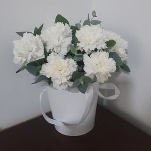 Tendresse en Éclosion