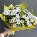 Ramo '¡Hola! ¡Margaritas!'