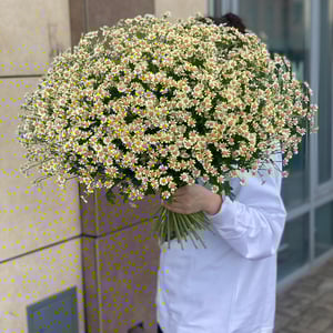 Bouquet 'Camomile field'