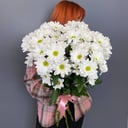 Ramo '5 spray chrysanthemums'