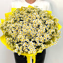 Bouquet 'Chamomile'
