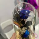 Rosa Preservada Azul