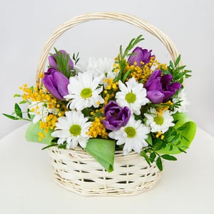 Blumenkorb 'Märzsonne'