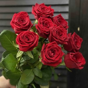 Blumenstrauß '9 rote Rosen'