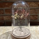 Naturally dried limonium in a bell