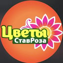 StavRoza