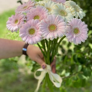 Blumenstrauß 'Gerberas'