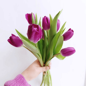 Bouquet of 8 tulips