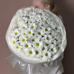 Monobouquet of daisy chrysanthemums