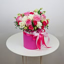 Dreams of a Princess