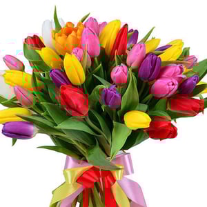 Bouquet '51 tulip assorted'