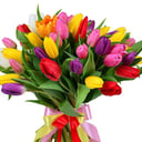 Bouquet '51 tulip assorted'