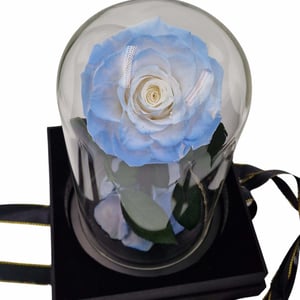 Blue Eternal rose in glass dome