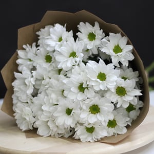 Bouquet of 5 chamomile chrysanthemums