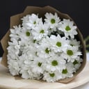 Bouquet of 5 chamomile chrysanthemums