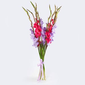 Bouquet of gladioli "Country motives"