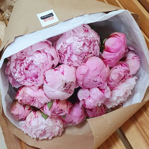 Bouquet 'Sweetness'