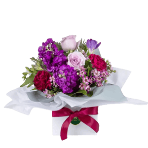 Flower box 'Enchanted freesia'