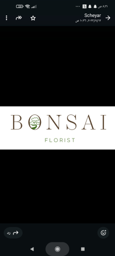 BONSAI FLORIST AACHEN