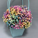 Blumenbox 'Regenbogen-Gypsophila in einer Tasche'