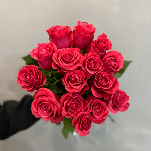 Bouquet of 15 Pink Roses