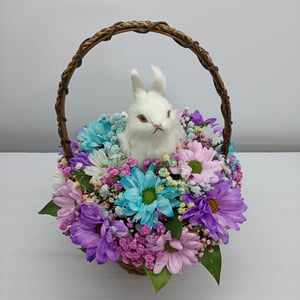 Arrangement "Bunny on the Lawn" 2.0