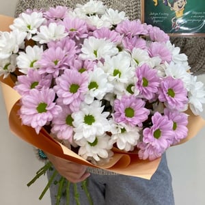 Blumenstrauß aus 15 Sträuchern mit Chrysanthemen