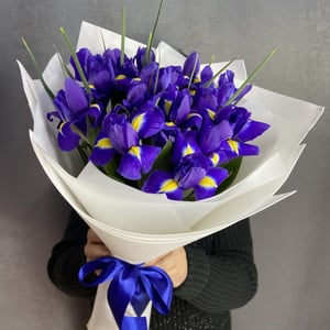 Bouquet of 15 irises