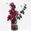 Arrangement 'The ultimate orchid'