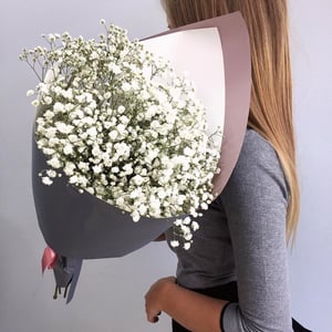 Ramo 'Bouquet of 7 branches of gypsophila'