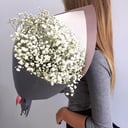 Bouquet of 7 branches of gypsophila