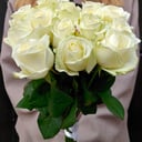 15 white roses