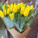 Ramo 30 Tulipanes Amarillos